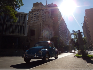 Beetle