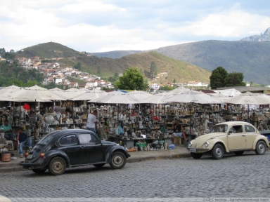 Beetles