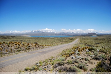 Laguna Blanca
