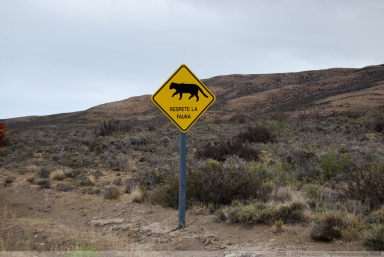 Respete la fauna