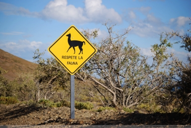 Respete la fauna