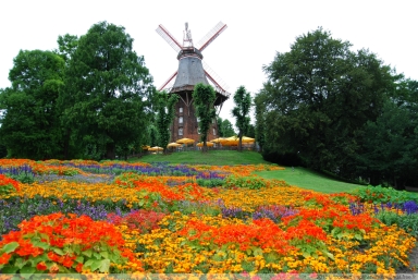 Mühle und Blumen
